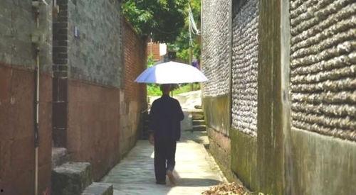 翰林院今日吃瓜事件,揭秘宫廷内部八卦风云