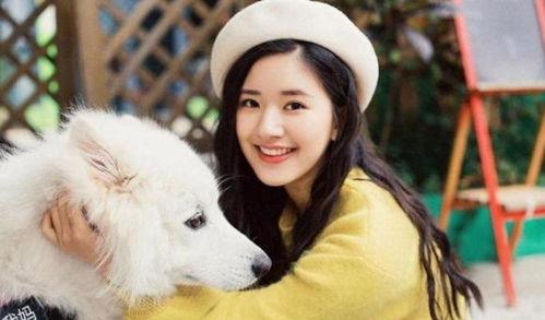 娱乐圈吃瓜元素表赵露思